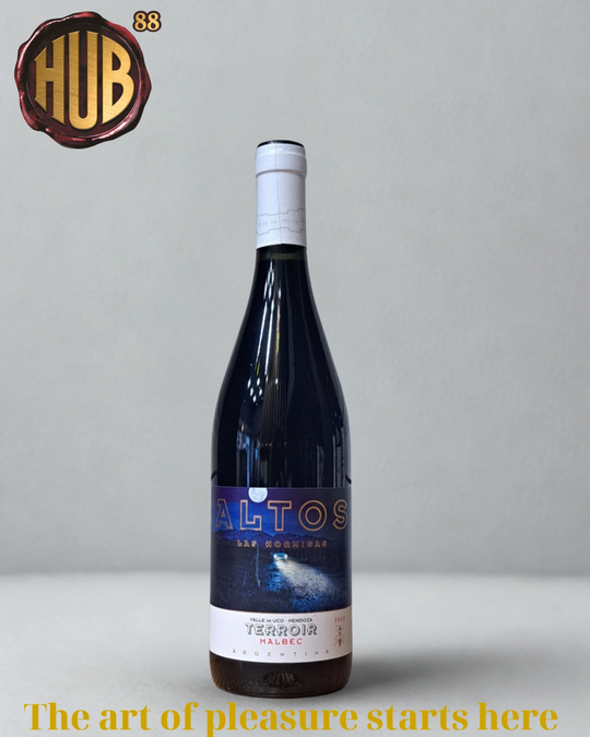 Altos Las Hormigas Malbec Terroir Uco Valley 2022